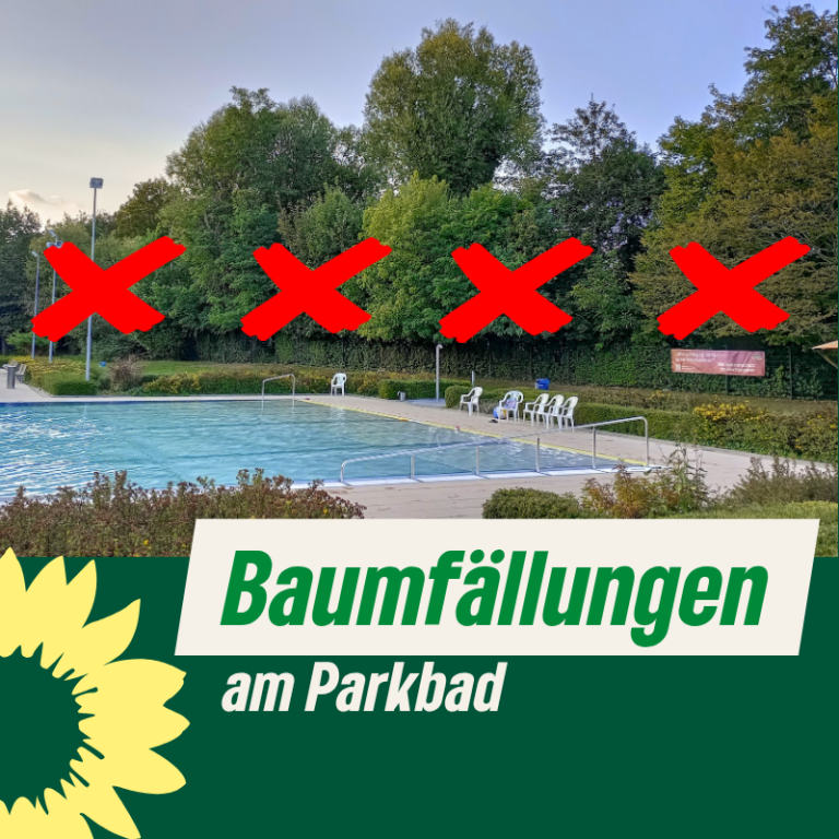 Baumfällungen am Parkbad ohne Planung 